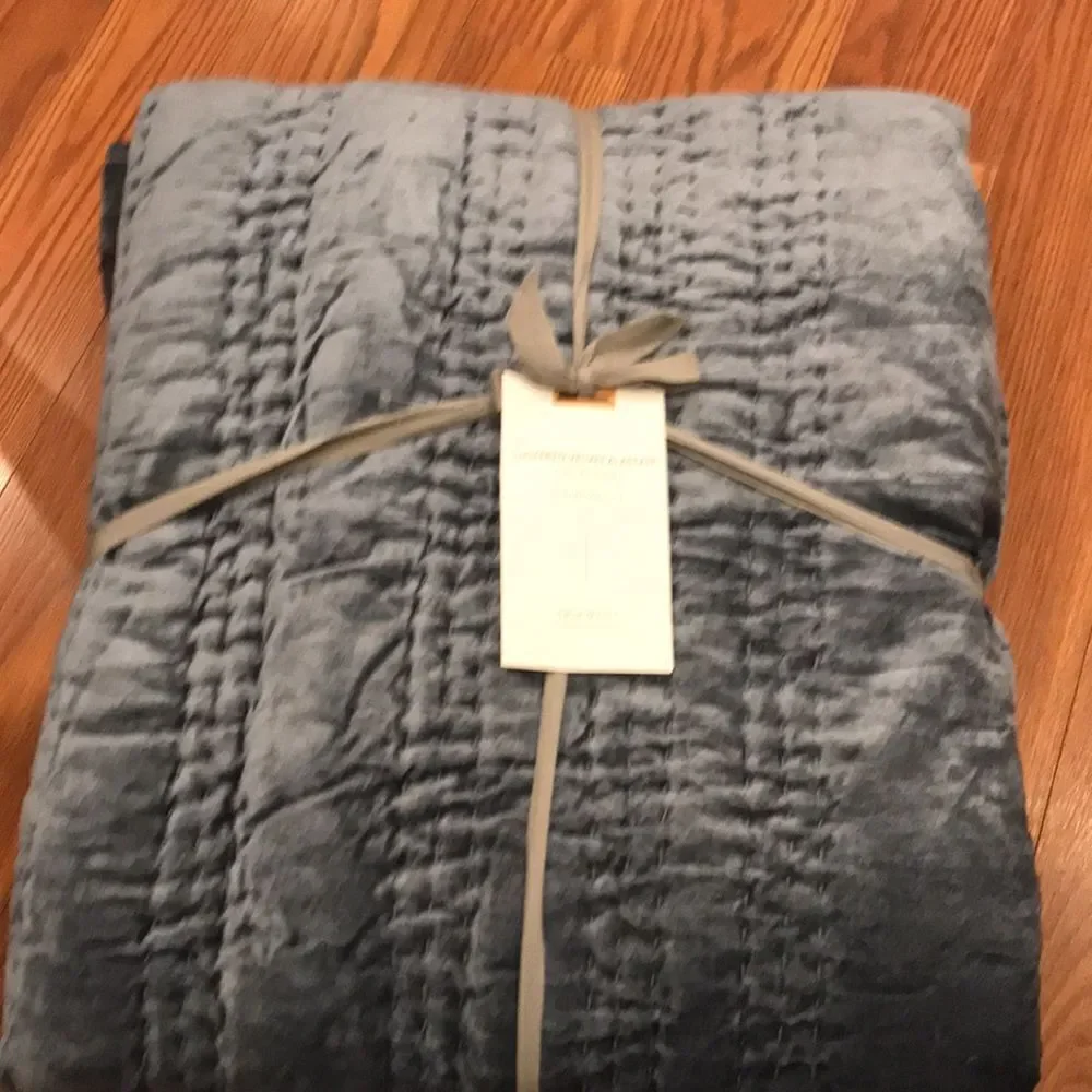 Anthropologie Lustered Velvet Alastair Twin Quilt